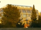 4g-2293.jpg